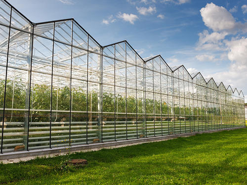 常丰智慧农业的温室控制系统  在农业生产有着广泛的应用
